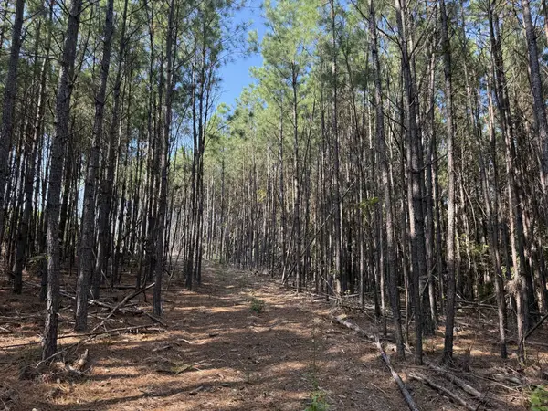 3415 Waynesboro Hwy, Hohenwald, TN 38462