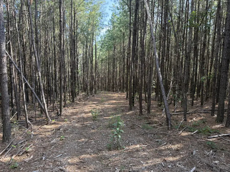 3415 Waynesboro Hwy, Hohenwald, TN 38462 - Image #2