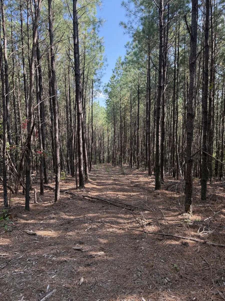 3415 Waynesboro Hwy, Hohenwald, TN 38462 - Image #3