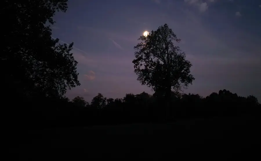 0 Lazy Branch Road, Wartrace, TN 37183 - Image #2