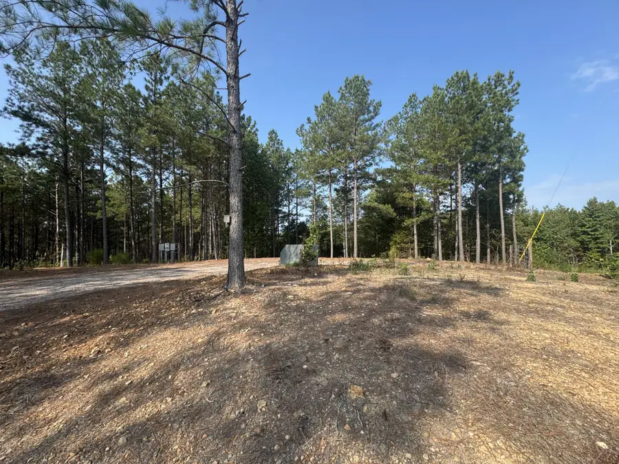 301 Ridgewood Dr, Linden, TN 37096 - Image #3