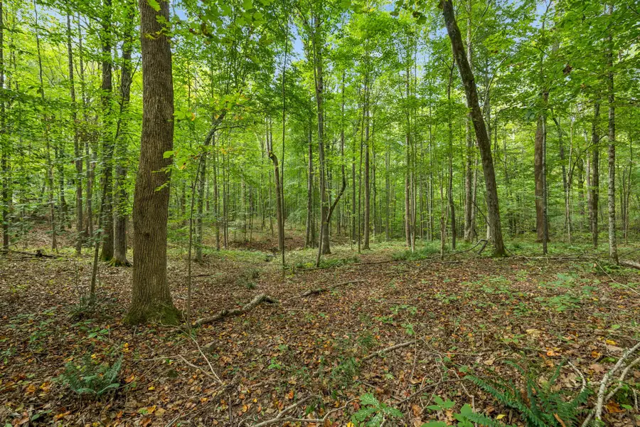 0 Tidwell Swtich Road, Bon Aqua, TN 37025 - Image #3
