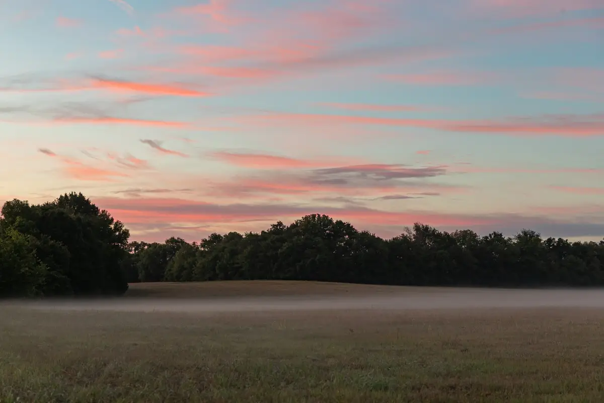 3021 Del Rio Pike, Franklin, TN 37069 - Image #1