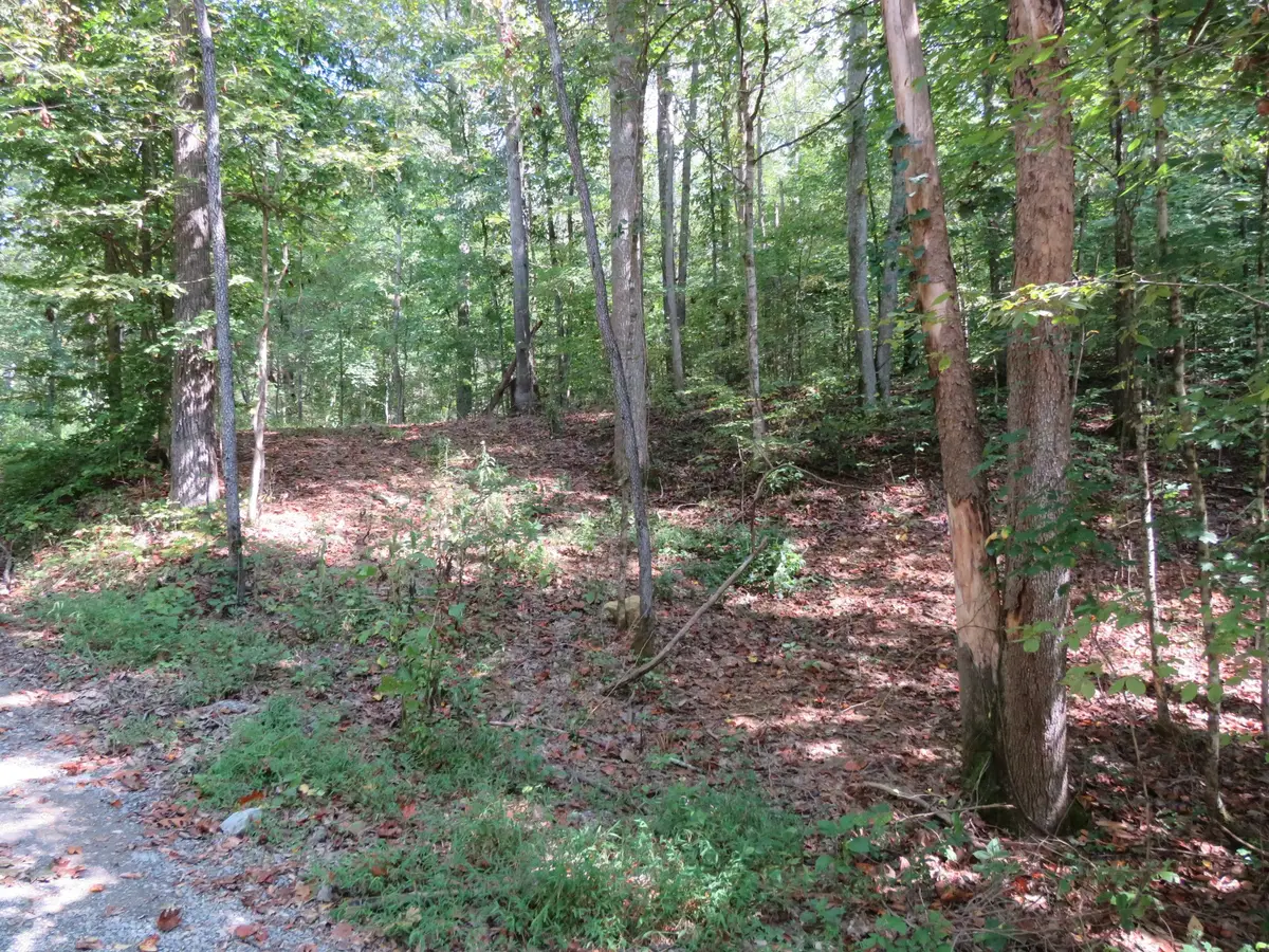 0 Bugg Hollow Rd, Gallatin, TN 37066 - #1