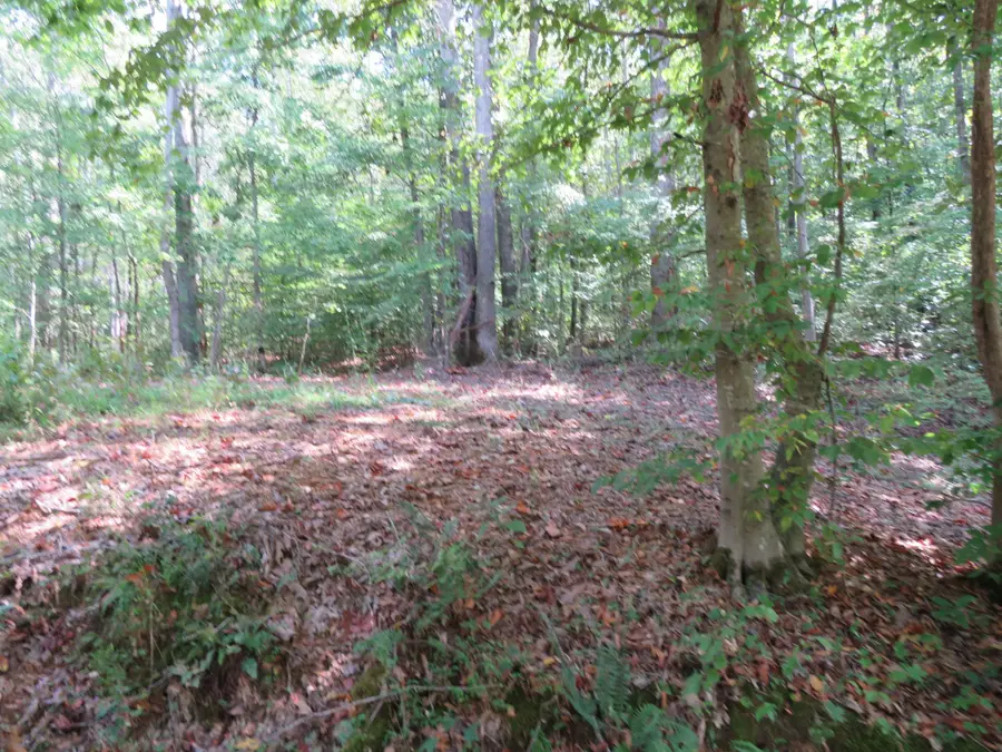0 Bugg Hollow Rd, Gallatin, TN 37066 - #2