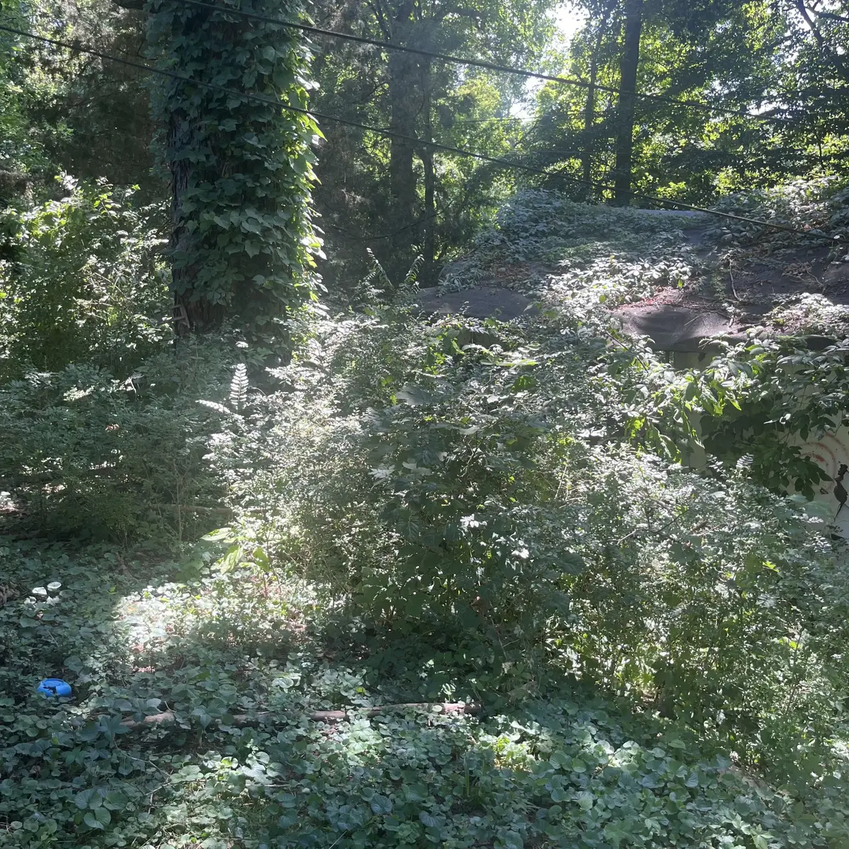 0 Shelby, Clarksville, TN 37042 - #1