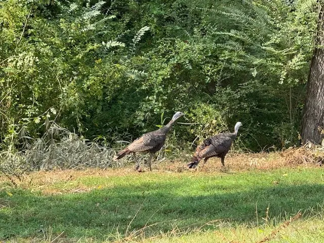 5843 Happy Hollow Ln, Joelton, TN 37080 - Image #1