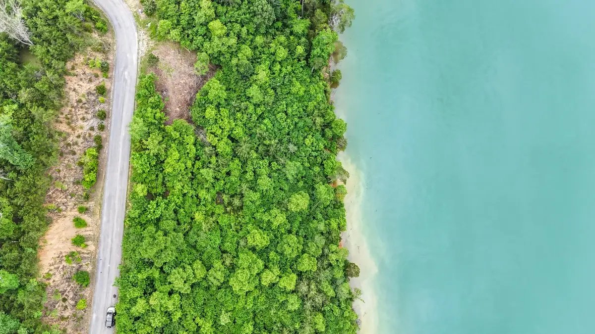 64 Stone Bridge, Dandridge, TN 37725 - Image #1