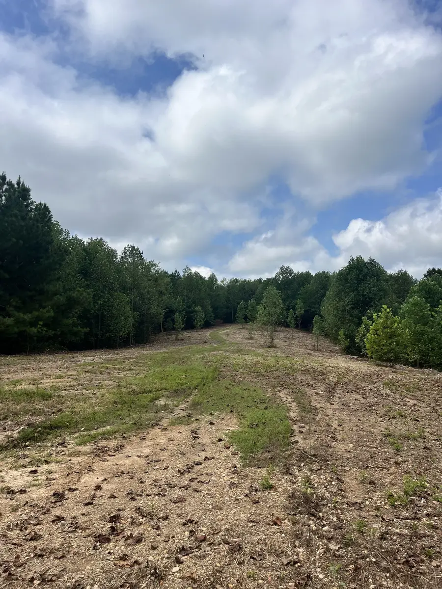 1 Jimtown Road, Woodbury, TN 37190 - #3