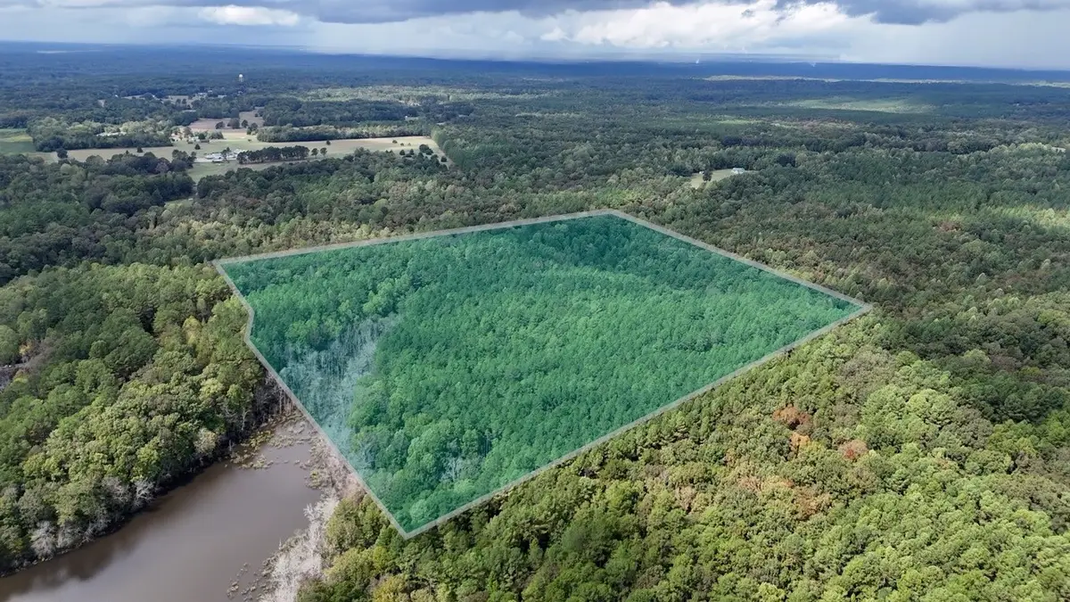 0 Sain Rd, Bolivar, TN 38008 - #1