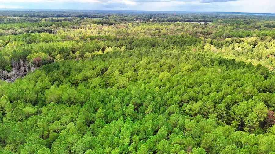 0 Sain Rd, Bolivar, TN 38008 - #3