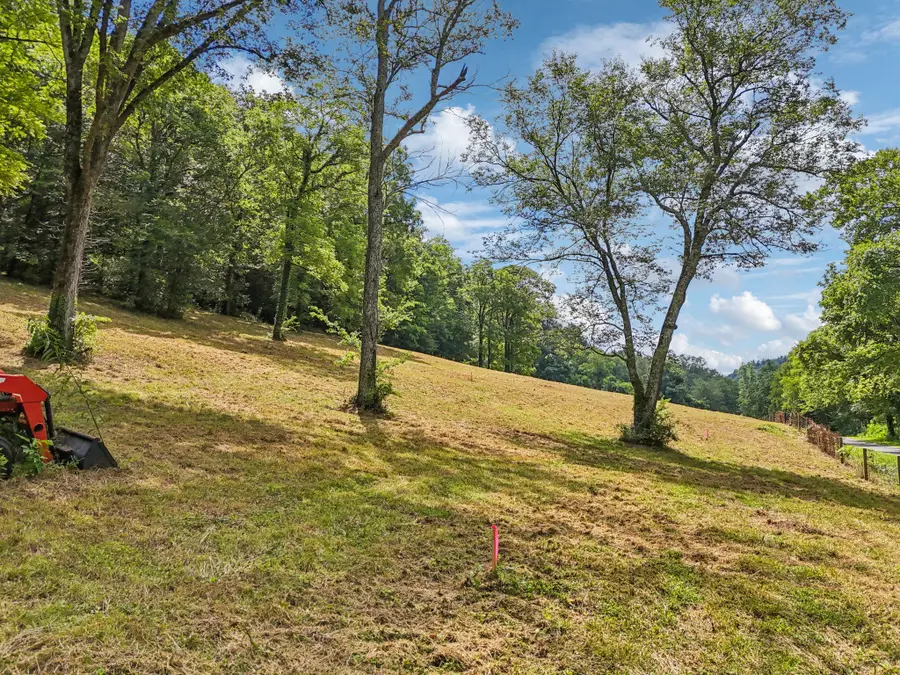10A Puncheon Camp Ln, Bell Buckle, TN 37020 - Image #3