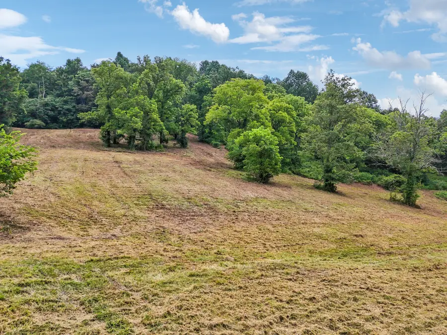 10B Puncheon Camp Ln, Bell Buckle, TN 37020 - Image #2