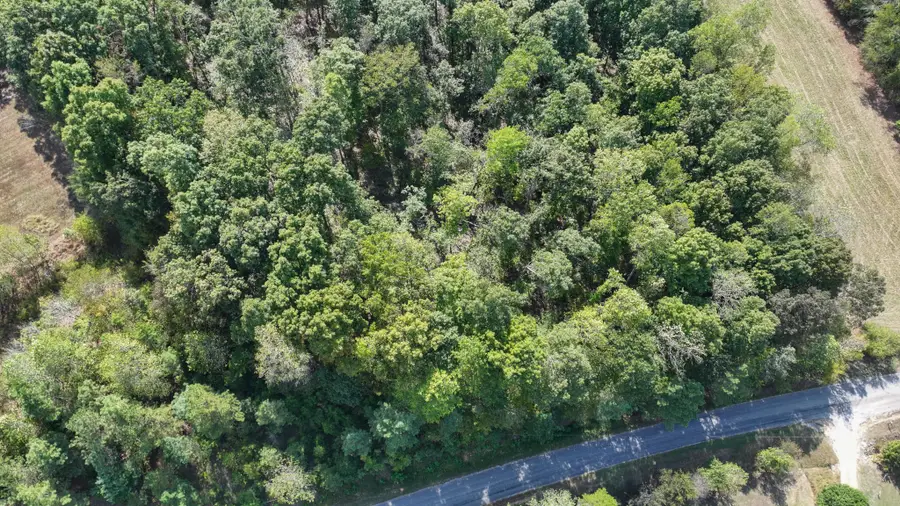 1 Deep Cut Rd, Erin, TN 37061 - Image #3