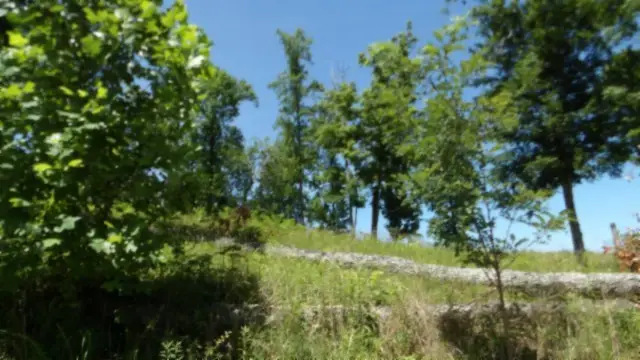 0 Rock Fish Lane, Hilham, TN 38568 - Image #2