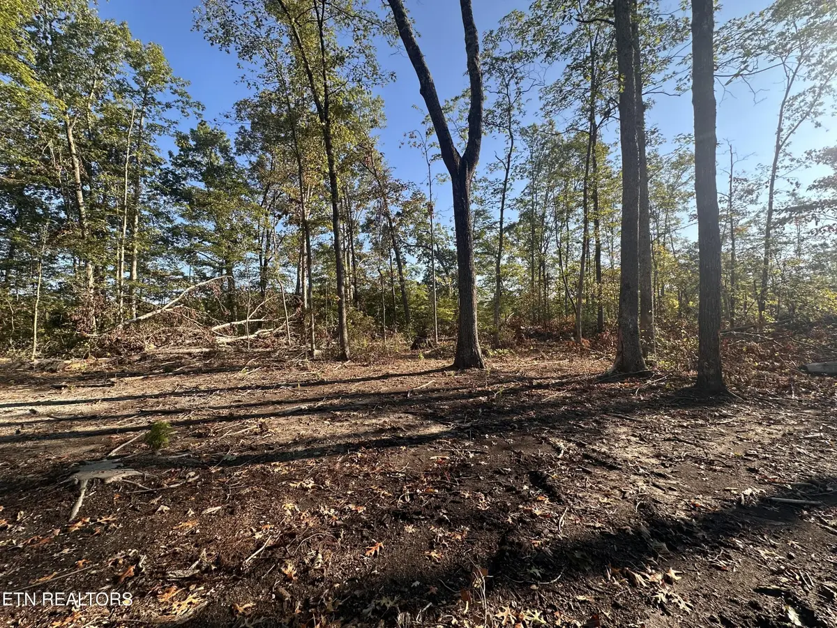 1153 Government Pond Rd, Jamestown, TN 38556 - #1