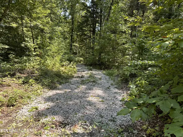 1255 Winningham Rd, Byrdstown, TN 38549