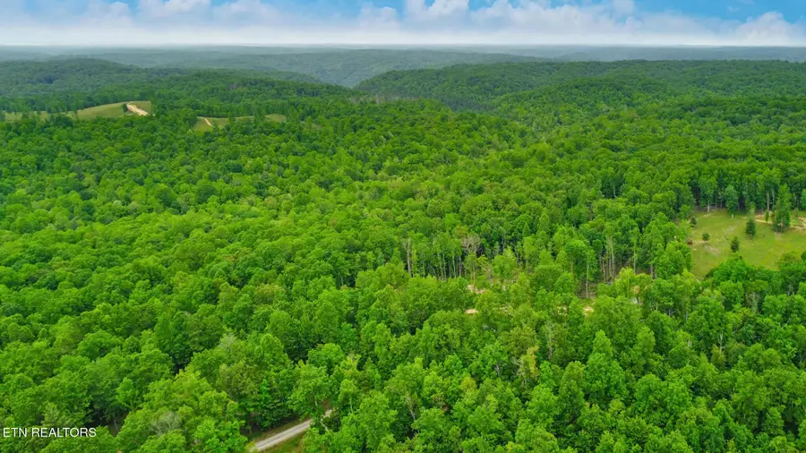 1518 Mt Helen Rd, Allardt, TN 38504 - Image #3