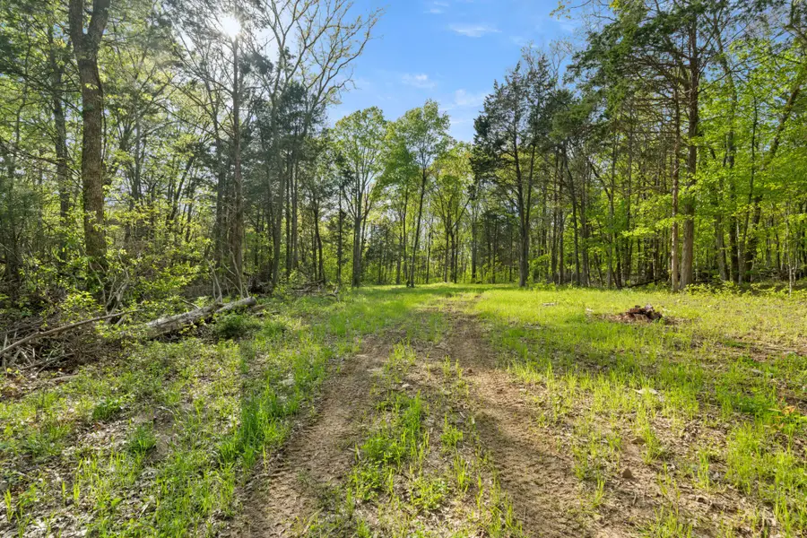 11065 Franklin Rd, Murfreesboro, TN 37128 - #2