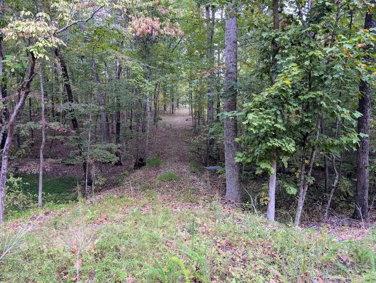 0 Deer Run Rd Lot 146, Altamont, TN 37301 - Image #1