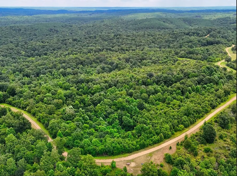 0 Shores Trail, Stewart, TN 37175 - #2