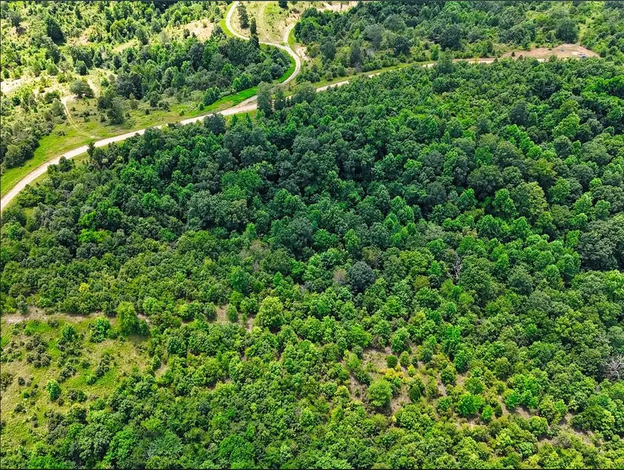 0 Shores Trail, Stewart, TN 37175 - #3