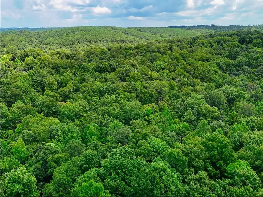 0 Shores Trl, Stewart, TN 37175 - Image #2