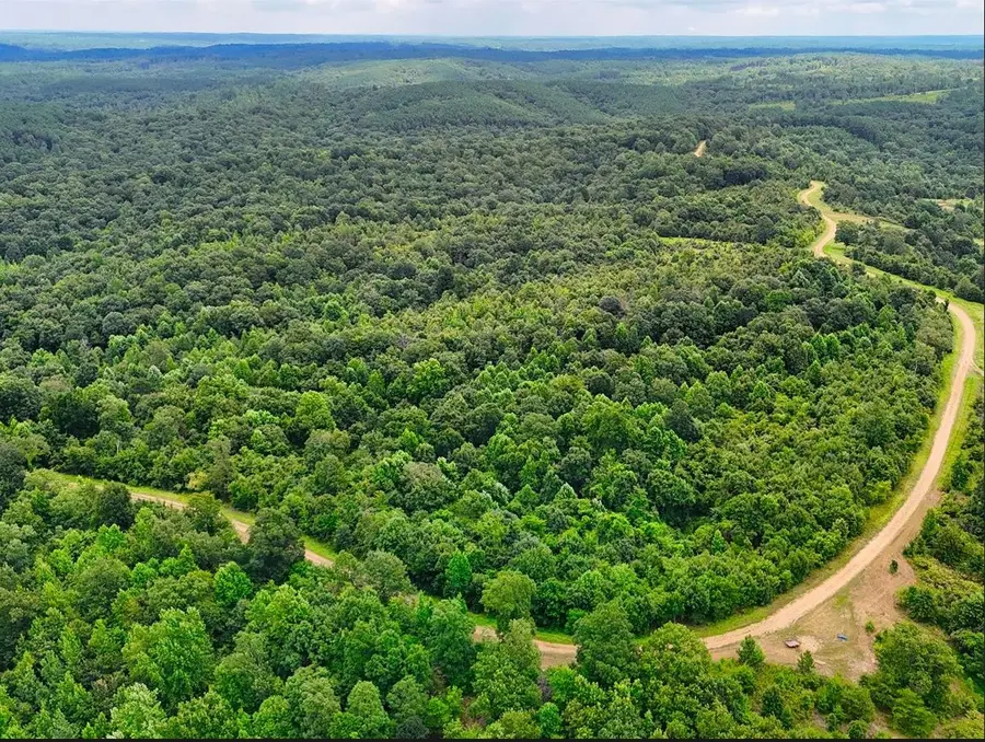 0 Shores Trl, Stewart, TN 37175 - Image #3