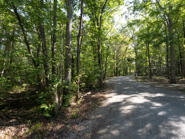 0 Pigeon Springs Rd, Tracy City, TN 37387