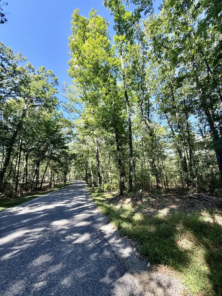 0 Pigeon Springs Rd, Tracy City, TN 37387 - Image #2