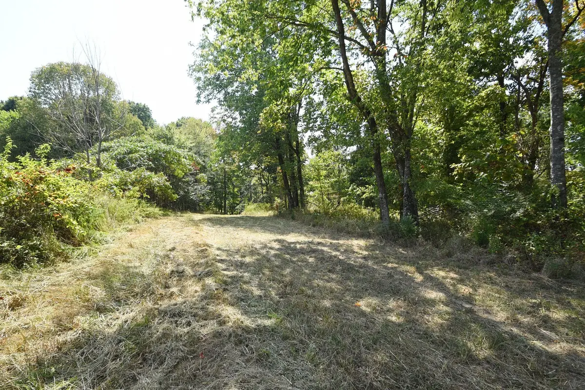 0 Moore Hollow Rd S, Indian Mound, TN 37079 - Image #1