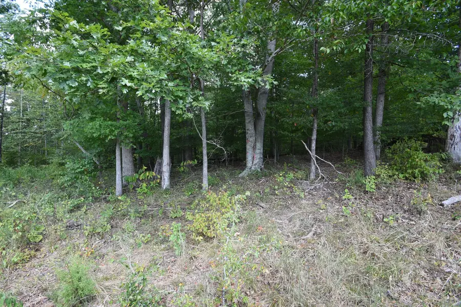 0 Moore Hollow Rd S, Indian Mound, TN 37079 - Image #3