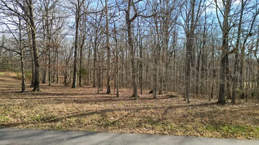0 Rouse Rd, Dickson, TN 37055 - Image #2