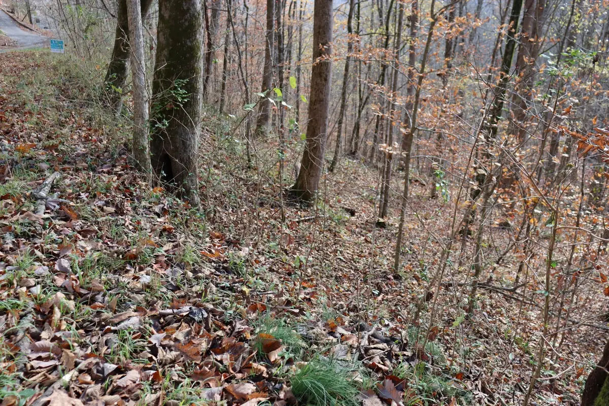 74 Cherokee Dr, Smithville, TN 37166 - Image #1