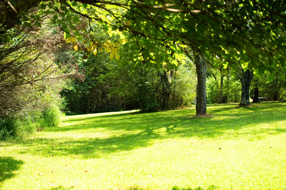 0 Mannin Rd, Leoma, TN 38468 - Image #1