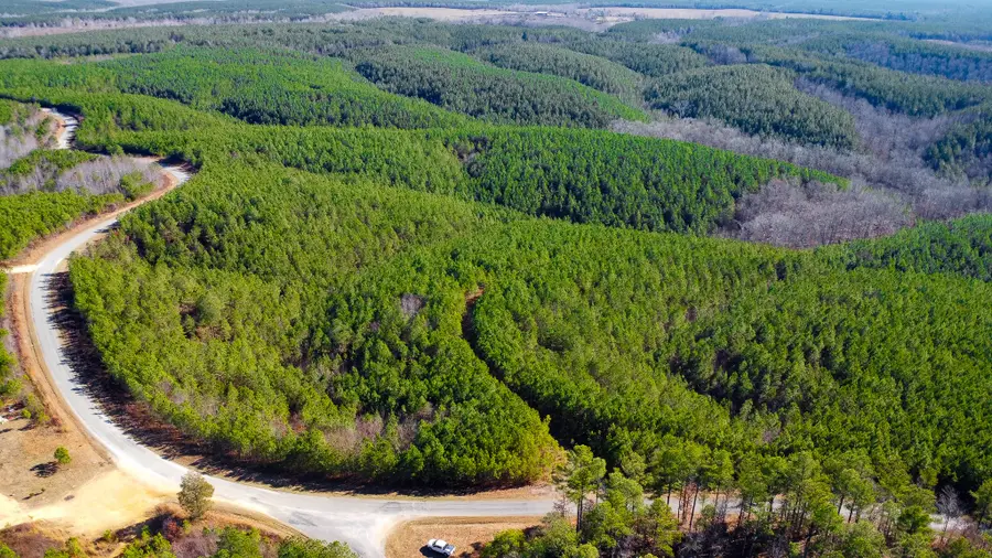 0 Rockhouse Road, Linden, TN 37096 - Image #2