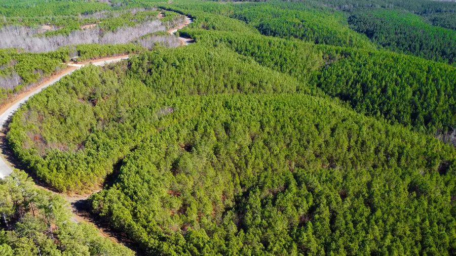 0 Rockhouse Road, Linden, TN 37096 - Image #3