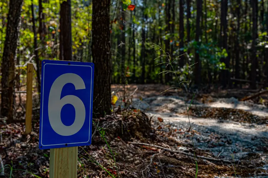 0 Brush Creek Rd, Hohenwald, TN 38462 - Image #2