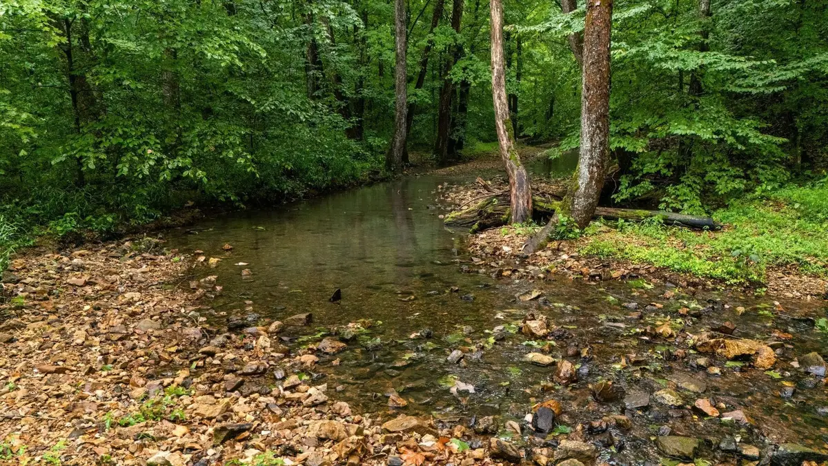 0 Furnace Hollow Road, Dickson, TN 37055 - Image #1