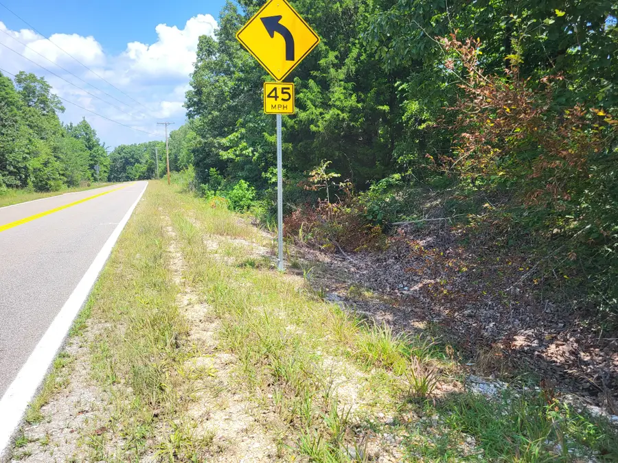 3 Birdsong Rd, Holladay, TN 38341 - #3