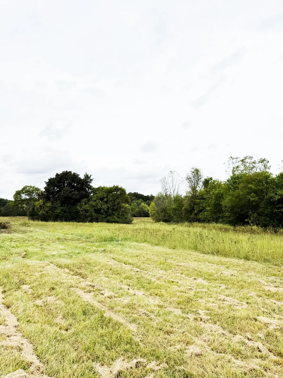 9245 Trousdale Ferry Pike, Lebanon, TN 37087 - Image #1