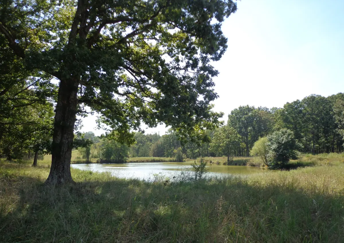 1551 Tennessee Ridge Road, Waverly, TN 37185 - Image #1