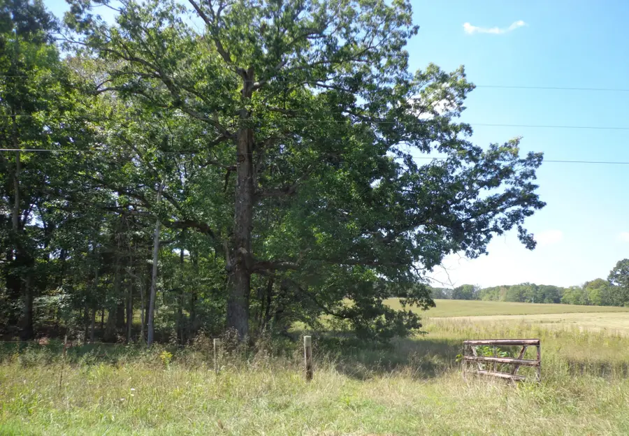 1551 Tennessee Ridge Road, Waverly, TN 37185 - Image #2