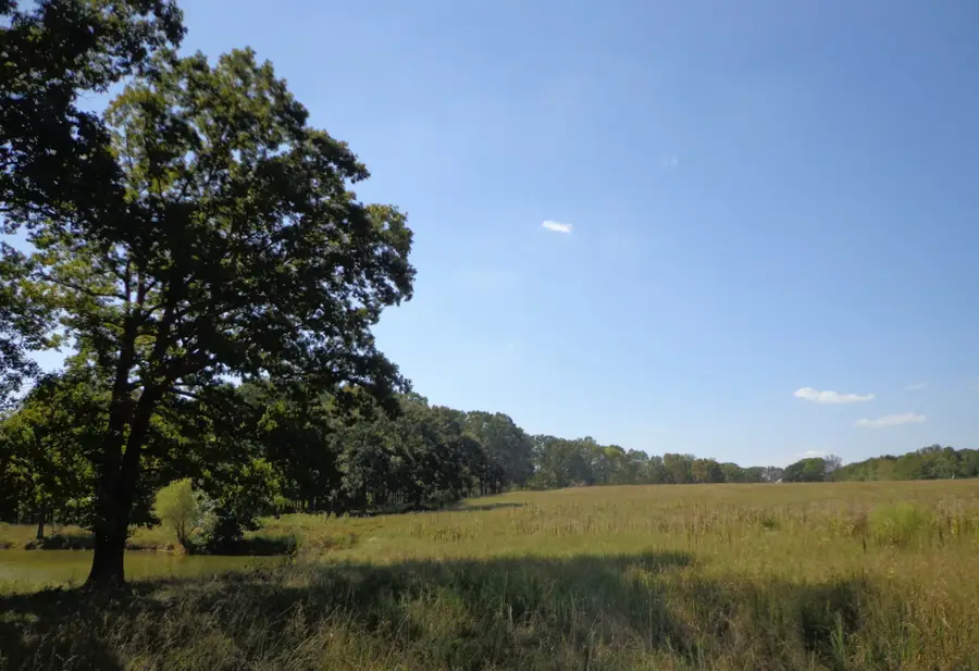 1551 Tennessee Ridge Road, Waverly, TN 37185 - Image #3