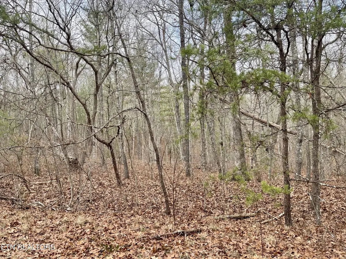 15 Glencove Court, Crossville, TN 38558 - Image #1