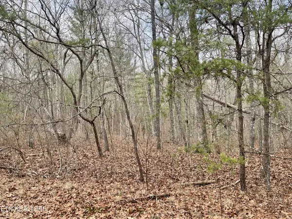 15 Glencove Court, Crossville, TN 38558