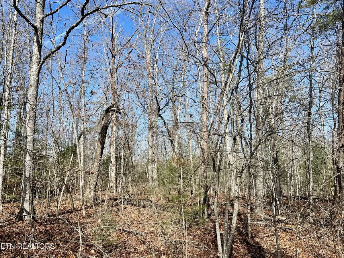 44 Rusham Circle, Crossville, TN 38558 - Image #1