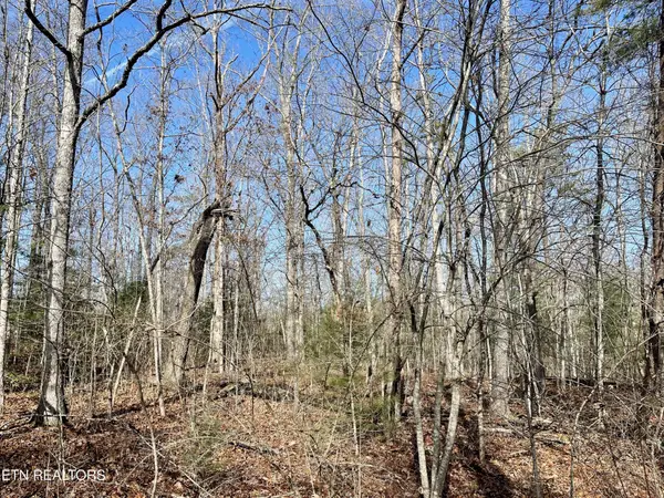 44 Rusham Circle, Crossville, TN 38558