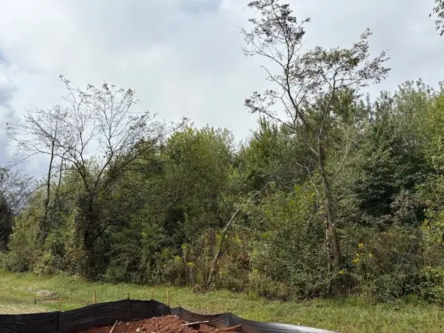 420 Cloudland Drive, Portland, TN 37148 - Image #3