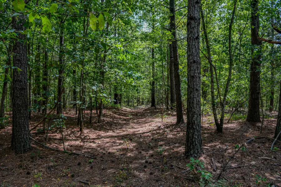 0 Brush Creek Rd, Hohenwald, TN 38462 - Image #3